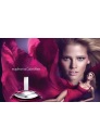 Calvin Klein Euphoria Комплект (EDP 50ml + EDP 10ml + BL 100ml) за Жени Дамски Комплекти